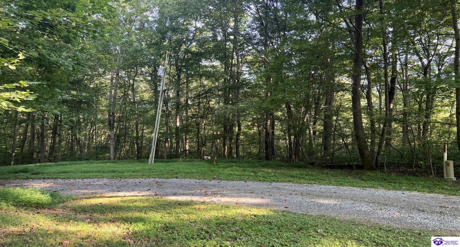Settlers Point Road, Fountain Run, Kentucky 42133, ,For Sale,Settlers Point Road,HK24004196