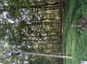 Settlers Point Road, Fountain Run, Kentucky 42133, ,For Sale,Settlers Point Road,HK24004196