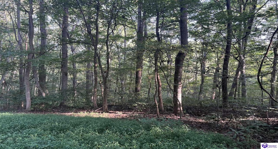 Settlers Point Road, Fountain Run, Kentucky 42133, ,For Sale,Settlers Point Road,HK24004196