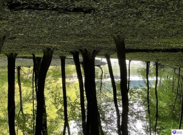 Settlers Point Road, Fountain Run, Kentucky 42133, ,For Sale,Settlers Point Road,HK24004196