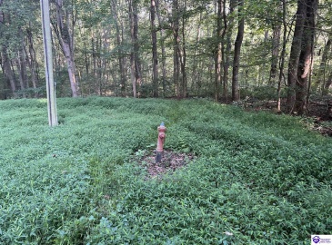 Settlers Point Road, Fountain Run, Kentucky 42133, ,For Sale,Settlers Point Road,HK24004196