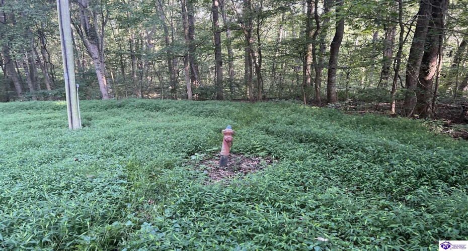 Settlers Point Road, Fountain Run, Kentucky 42133, ,For Sale,Settlers Point Road,HK24004196