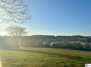 Hornback Farms Lane, Webster, Kentucky 40176, ,3 BathroomsBathrooms,For Sale,Hornback Farms Lane,HK24004193