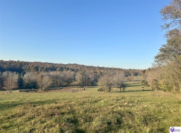 Hornback Farms Lane, Webster, Kentucky 40176, ,3 BathroomsBathrooms,For Sale,Hornback Farms Lane,HK24004193