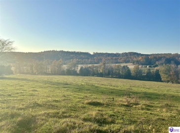 Hornback Farms Lane, Webster, Kentucky 40176, ,3 BathroomsBathrooms,For Sale,Hornback Farms Lane,HK24004193