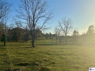 Hornback Farms Lane, Webster, Kentucky 40176, ,3 BathroomsBathrooms,For Sale,Hornback Farms Lane,HK24004193