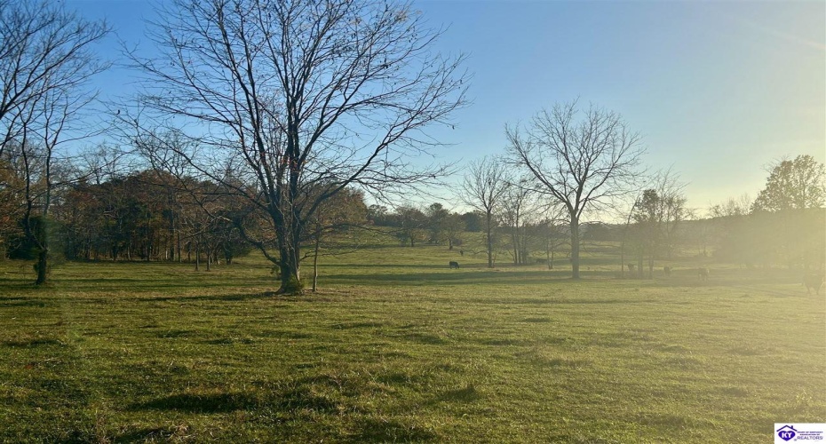 Hornback Farms Lane, Webster, Kentucky 40176, ,3 BathroomsBathrooms,For Sale,Hornback Farms Lane,HK24004193