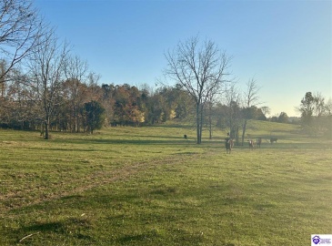 Hornback Farms Lane, Webster, Kentucky 40176, ,3 BathroomsBathrooms,For Sale,Hornback Farms Lane,HK24004193