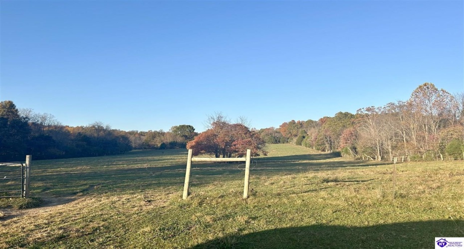 Hornback Farms Lane, Webster, Kentucky 40176, ,3 BathroomsBathrooms,For Sale,Hornback Farms Lane,HK24004193