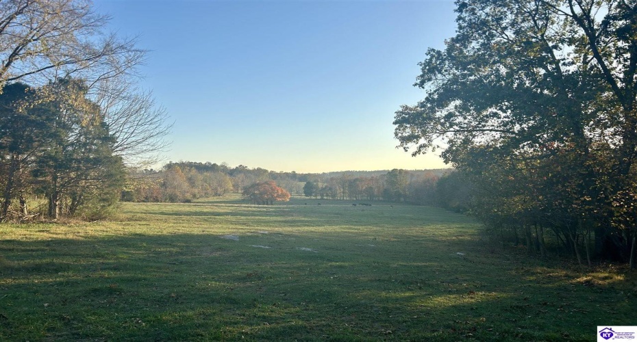 Hornback Farms Lane, Webster, Kentucky 40176, ,3 BathroomsBathrooms,For Sale,Hornback Farms Lane,HK24004193