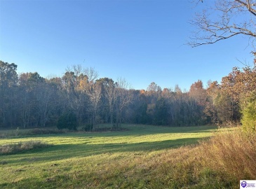 Hornback Farms Lane, Webster, Kentucky 40176, ,3 BathroomsBathrooms,For Sale,Hornback Farms Lane,HK24004193