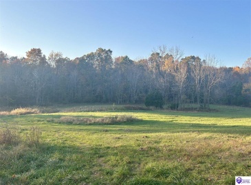 Hornback Farms Lane, Webster, Kentucky 40176, ,3 BathroomsBathrooms,For Sale,Hornback Farms Lane,HK24004193