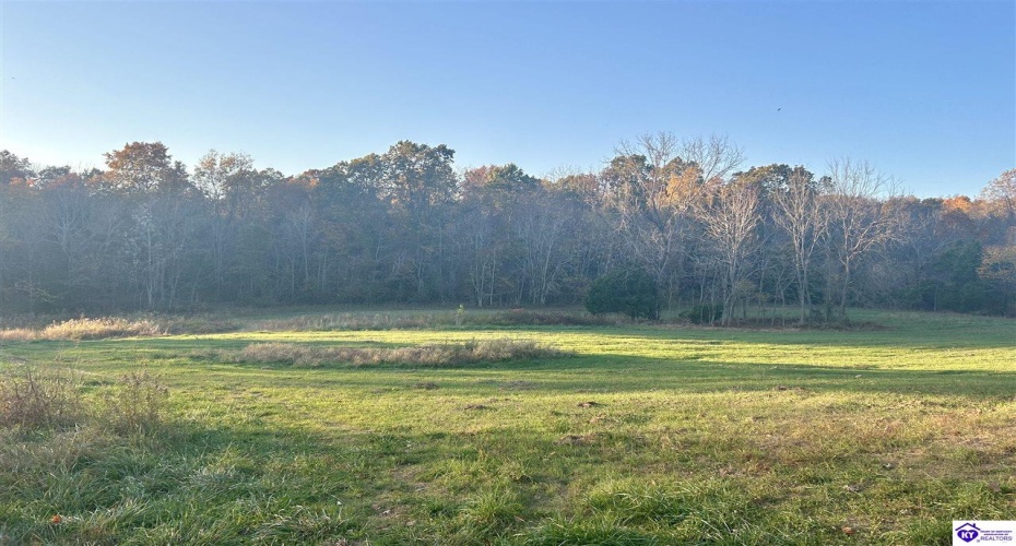 Hornback Farms Lane, Webster, Kentucky 40176, ,3 BathroomsBathrooms,For Sale,Hornback Farms Lane,HK24004193