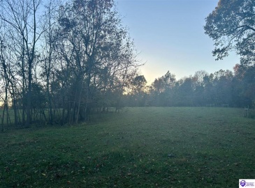 Hornback Farms Lane, Webster, Kentucky 40176, ,3 BathroomsBathrooms,For Sale,Hornback Farms Lane,HK24004193