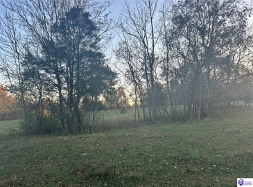 Hornback Farms Lane, Webster, Kentucky 40176, ,3 BathroomsBathrooms,For Sale,Hornback Farms Lane,HK24004193