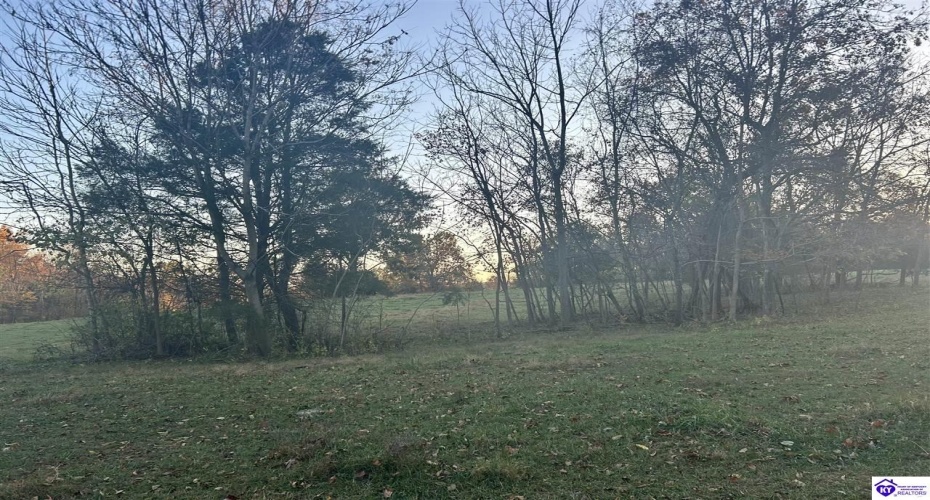 Hornback Farms Lane, Webster, Kentucky 40176, ,3 BathroomsBathrooms,For Sale,Hornback Farms Lane,HK24004193