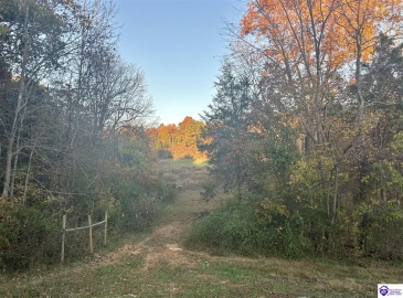 Hornback Farms Lane, Webster, Kentucky 40176, ,3 BathroomsBathrooms,For Sale,Hornback Farms Lane,HK24004193