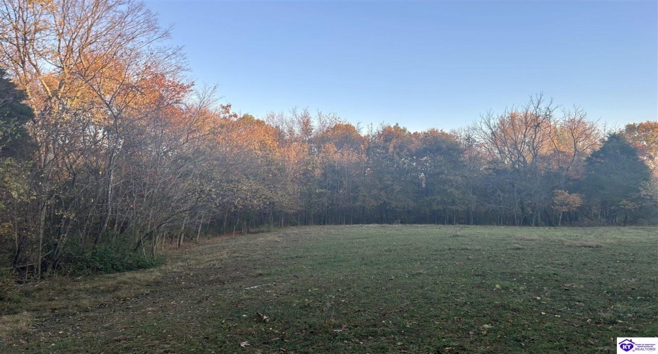 Hornback Farms Lane, Webster, Kentucky 40176, ,3 BathroomsBathrooms,For Sale,Hornback Farms Lane,HK24004193