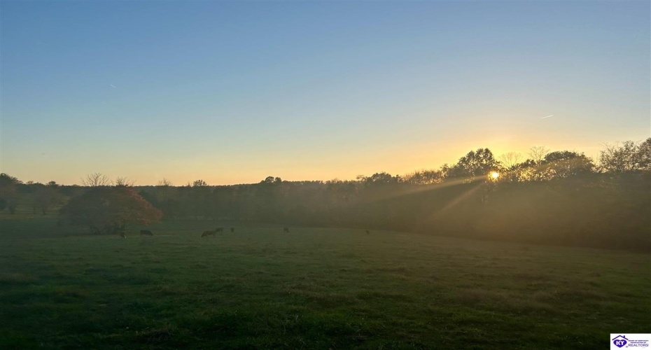 Hornback Farms Lane, Webster, Kentucky 40176, ,3 BathroomsBathrooms,For Sale,Hornback Farms Lane,HK24004193