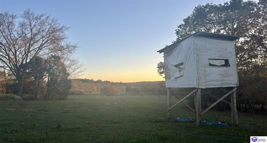 Hornback Farms Lane, Webster, Kentucky 40176, ,3 BathroomsBathrooms,For Sale,Hornback Farms Lane,HK24004193