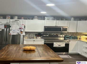 Hornback Farms Lane, Webster, Kentucky 40176, ,3 BathroomsBathrooms,For Sale,Hornback Farms Lane,HK24004193