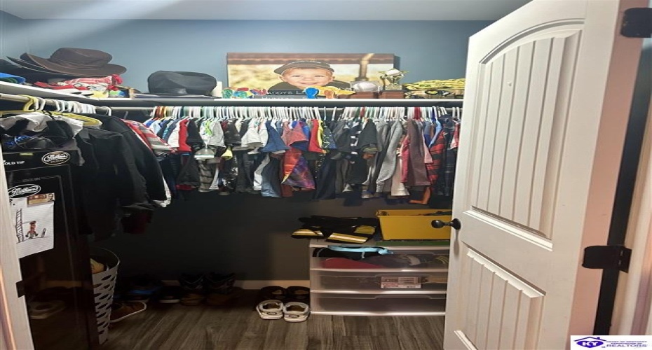 Hornback Farms Lane, Webster, Kentucky 40176, ,3 BathroomsBathrooms,For Sale,Hornback Farms Lane,HK24004193