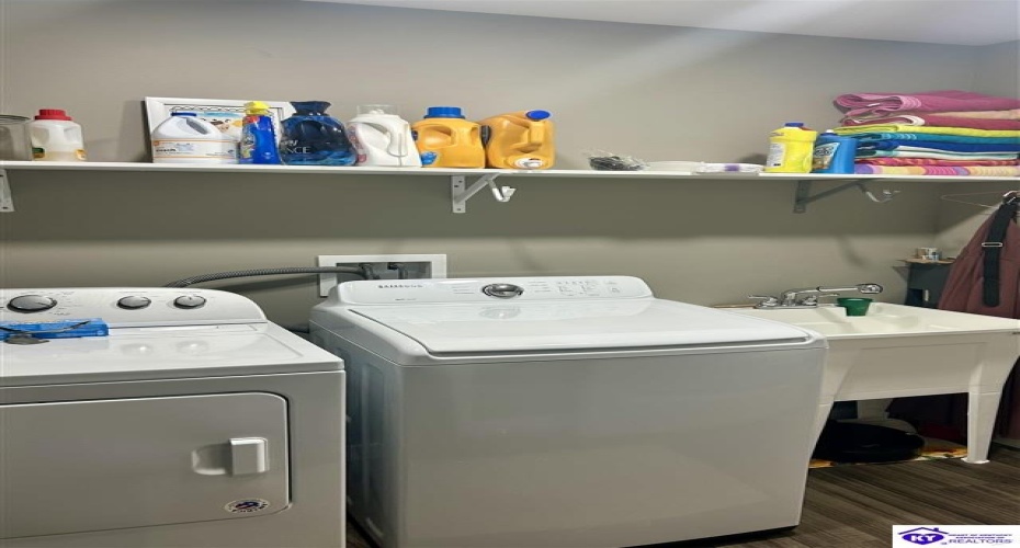 Hornback Farms Lane, Webster, Kentucky 40176, ,3 BathroomsBathrooms,For Sale,Hornback Farms Lane,HK24004193