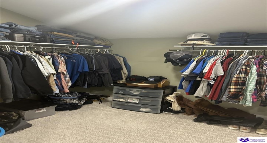 Hornback Farms Lane, Webster, Kentucky 40176, ,3 BathroomsBathrooms,For Sale,Hornback Farms Lane,HK24004193