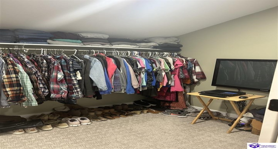 Hornback Farms Lane, Webster, Kentucky 40176, ,3 BathroomsBathrooms,For Sale,Hornback Farms Lane,HK24004193