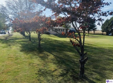 Summersville Road, Greensburg, Kentucky 42743, ,1 BathroomBathrooms,For Sale,Summersville Road,HK24004198