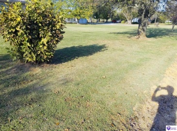 Summersville Road, Greensburg, Kentucky 42743, ,1 BathroomBathrooms,For Sale,Summersville Road,HK24004198