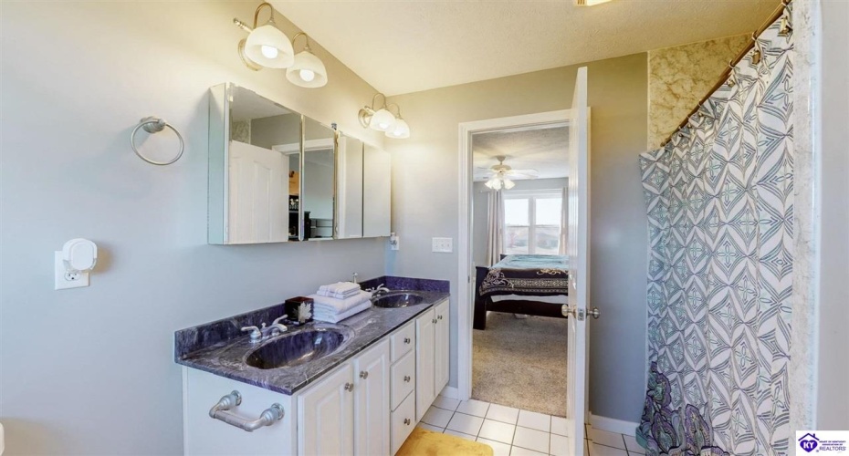 Genrose Drive, Rineyville, Kentucky 40162, ,4 BathroomsBathrooms,For Sale,Genrose Drive,HK24004202