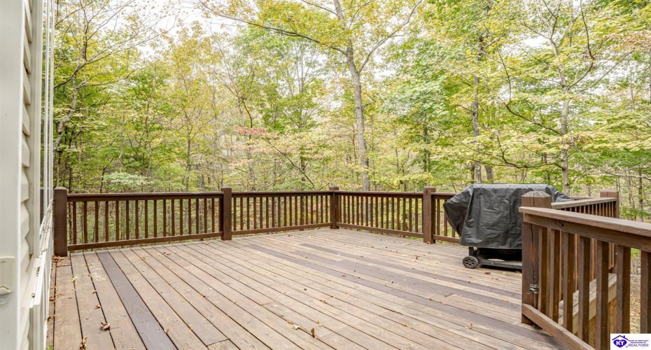 Columbine Court, Brandenburg, Kentucky 40108, ,2 BathroomsBathrooms,For Sale,Columbine Court,HK24004037