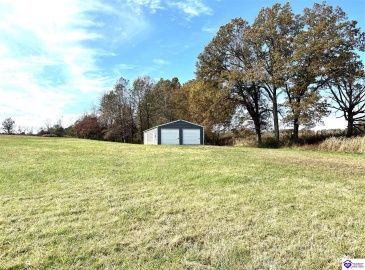 Webb Mill Road, Eastview, Kentucky 42732, ,For Sale,Webb Mill Road,HK24004218