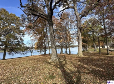 Lakeview Drive, Campbellsville, Kentucky 42718, ,4 BathroomsBathrooms,For Sale,Lakeview Drive,HK24004228