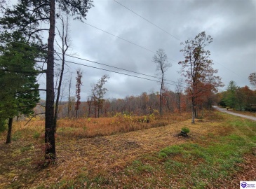 Myers Lane, Elizabethtown, Kentucky 42701, ,For Sale,Myers Lane,HK24004238