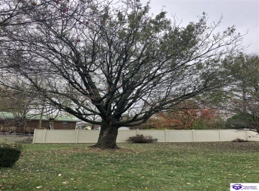 Tyler Circle, Elizabethtown, Kentucky 42701, ,3 BathroomsBathrooms,For Sale,Tyler Circle,HK24004242