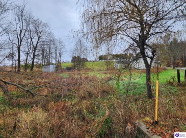 Browns Lane, Vine Grove, Kentucky 40175, ,1 BathroomBathrooms,For Sale,Browns Lane,HK24004245