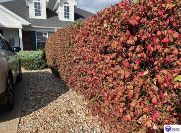 Banjo Street, Bardstown, Kentucky 40004, ,1 BathroomBathrooms,For Sale,Banjo Street,HK24004246