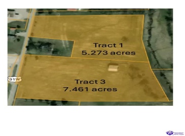 Dixie Highway, Sonora, Kentucky 42776, ,For Sale,Dixie Highway,HK24004269