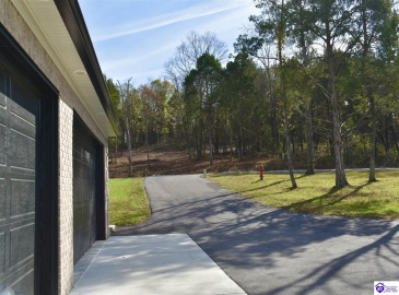 Heavenly Haven Drive, Horse Cave, Kentucky 42749, ,2 BathroomsBathrooms,For Sale,Heavenly Haven Drive,HK24004278