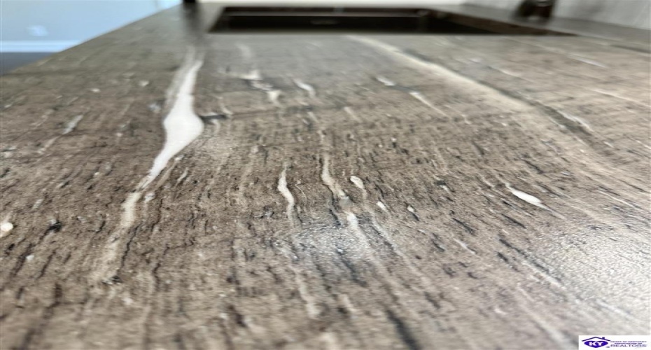 Heavenly Haven Drive, Horse Cave, Kentucky 42749, ,2 BathroomsBathrooms,For Sale,Heavenly Haven Drive,HK24004278