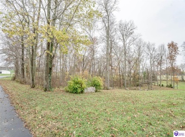 Highway 79, Brandenburg, Kentucky 40108, ,3 BathroomsBathrooms,For Sale,Highway 79,HK24004284