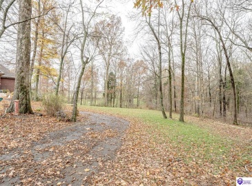 Highway 79, Brandenburg, Kentucky 40108, ,3 BathroomsBathrooms,For Sale,Highway 79,HK24004284