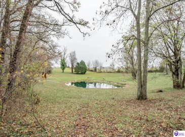 Highway 79, Brandenburg, Kentucky 40108, ,3 BathroomsBathrooms,For Sale,Highway 79,HK24004284