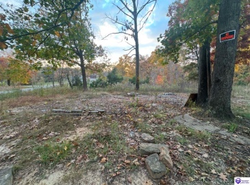 Berryman Road, Brandenburg, Kentucky 40108, ,For Sale,Berryman Road,HK24004290