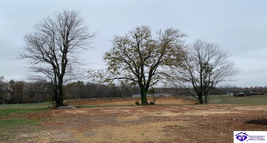 New Jackson Highway, Magnolia, Kentucky 42757, ,2 BathroomsBathrooms,For Sale,New Jackson Highway,HK24004287