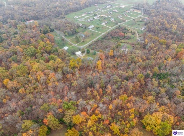 McCrary Road, Guston, Kentucky 40142, ,2 BathroomsBathrooms,For Sale,McCrary Road,HK24004288