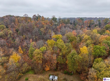 McCrary Road, Guston, Kentucky 40142, ,2 BathroomsBathrooms,For Sale,McCrary Road,HK24004288