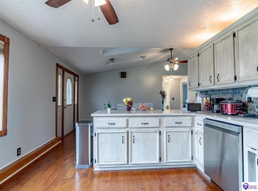 McCrary Road, Guston, Kentucky 40142, ,2 BathroomsBathrooms,For Sale,McCrary Road,HK24004288